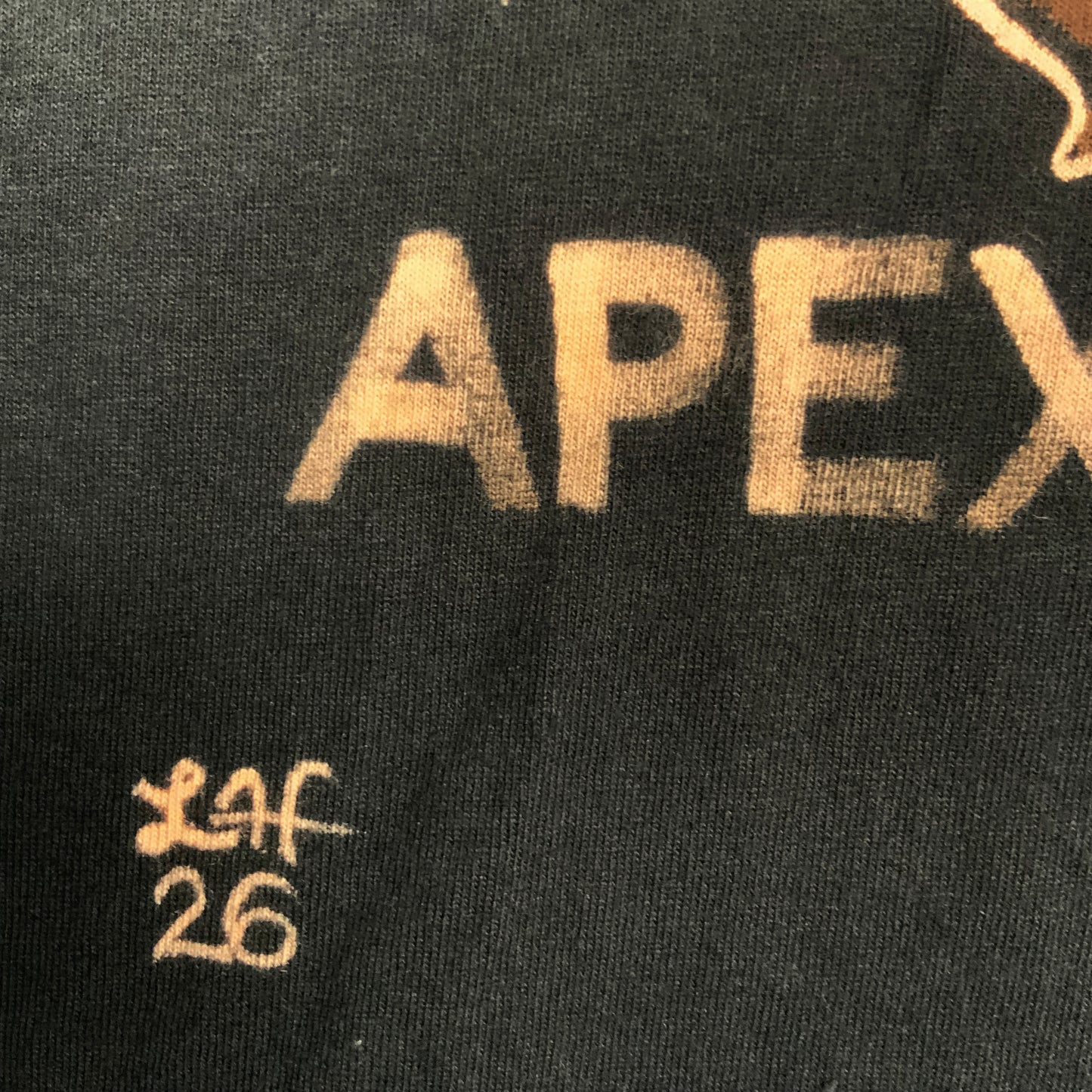 Apex Predator - Large Bleach-Painted T-Shirt