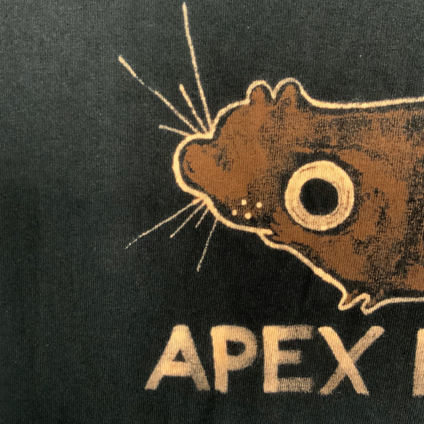 Apex Predator - Large Bleach-Painted T-Shirt