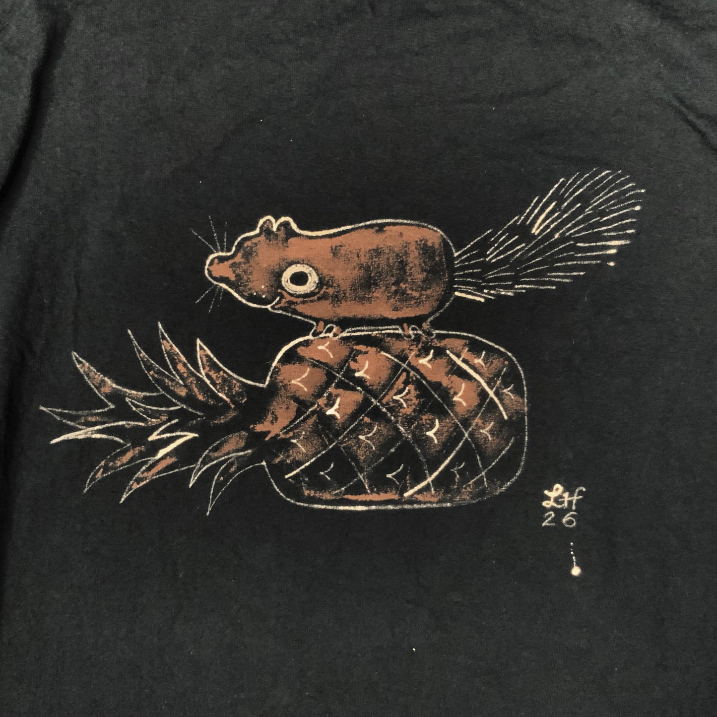 Pineapple Squirrel - Medium Bleach-Painted T-Shirt