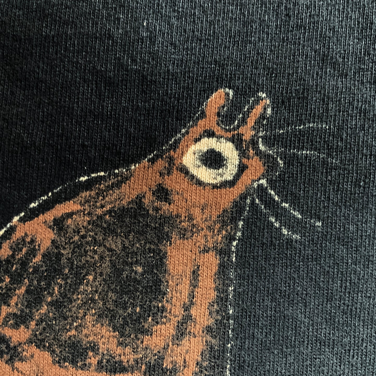Squirrel Loop - Medium Bleach-Painted T-Shirt